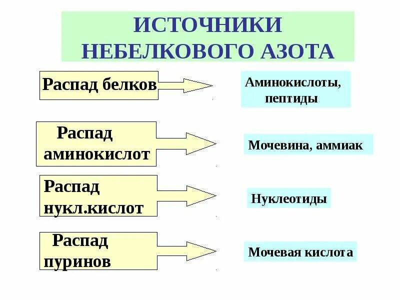 Источником азота является. Источники азота для синтеза аминокислот. источники азота для аминокислот. источники азота для аминокислот биохимия. основные источники азота.