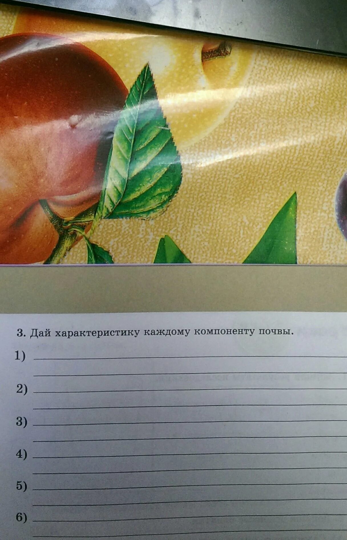 Соотнеси название составляющей почвы и ее характеристику. Дай характеристику каждому компоненту почвы 3 класс естествознание. дай характеристику каждому компоненту почвы 3 класс.