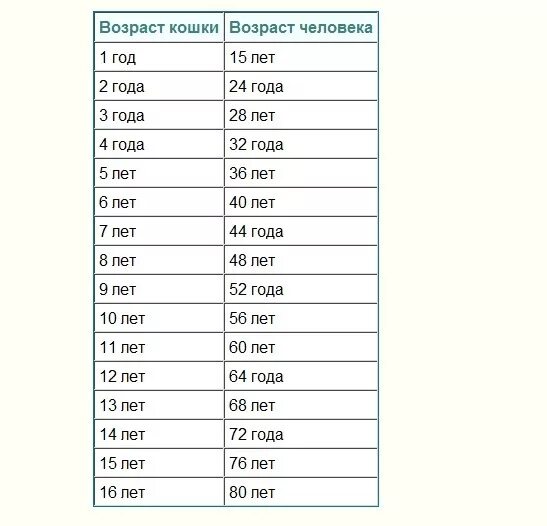 Сколько лет 38. Возраст волнистого попугая по человеческим меркам таблица. Кошачий Возраст по человеческим меркам 10 лет таблица. Сколько лет попугаю по человеческим меркам таблица. Таблица сравнения возраста попугая и человека.