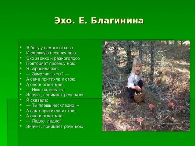 Эхо кратчайшее содержание. Благинина эхо. стихотворение эхо благинина. е благинина стих эхо. стихи про эхо для детей.