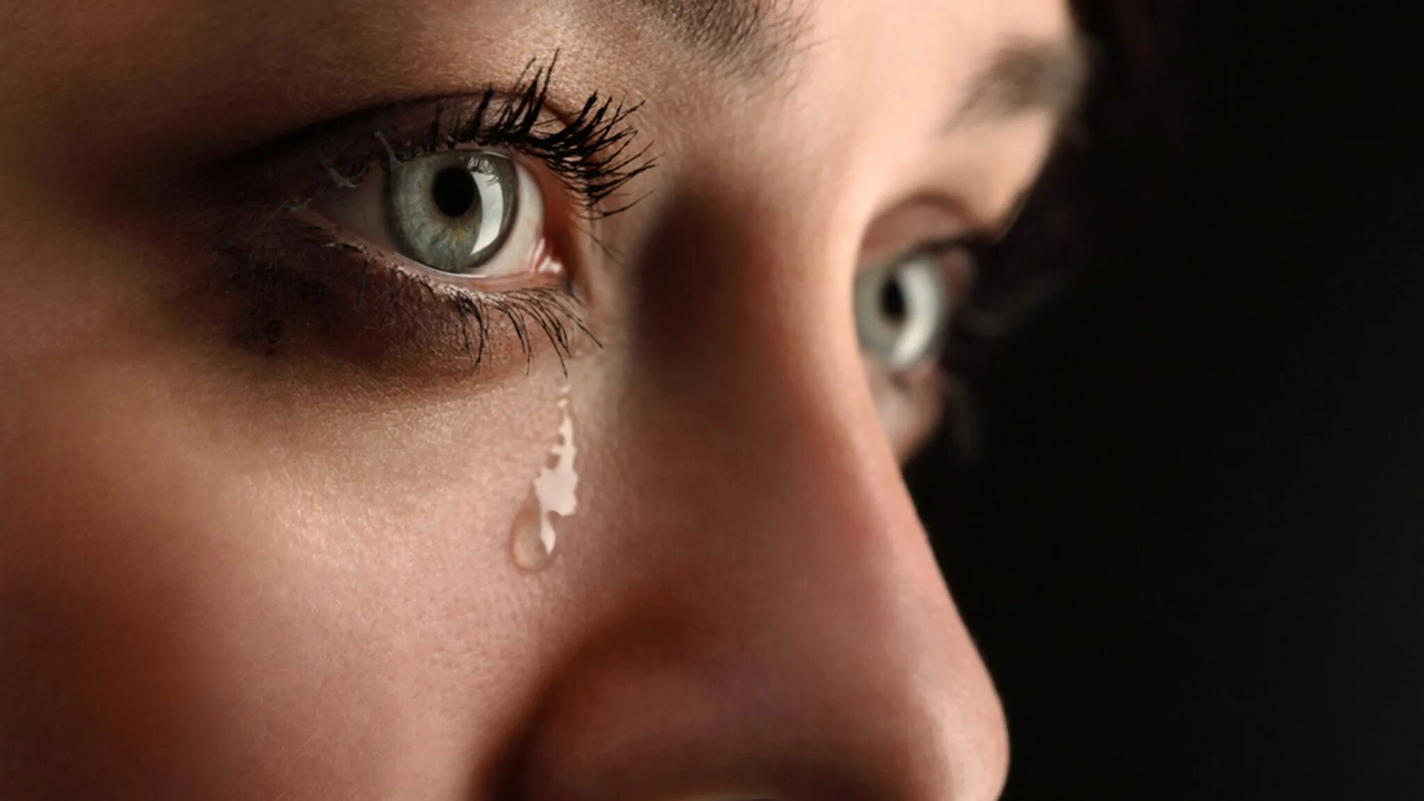 Cry up. Cry up