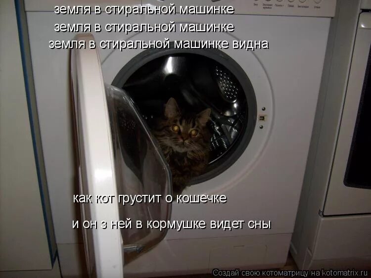 Стиральная машина странный звук. Кот в стиралке. Котоматрица стиральная машина. Кошка в стиральной машине. Земля в стиральной машинке.