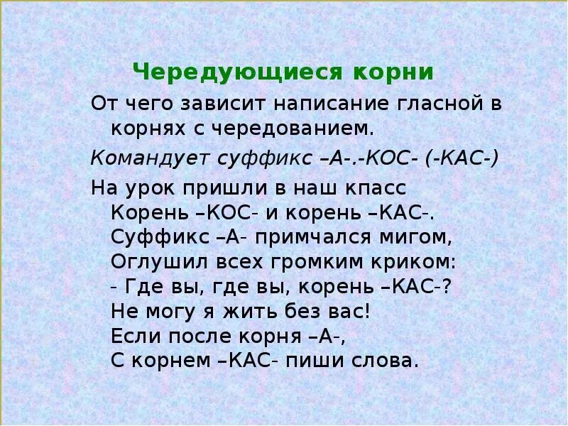 Текст о корне слова. Корни с чередованием 5 класс. Корни с чередованием в корне гласных в корне. Занимательный корень с чередованием. Стишок с чередующимися корнями.