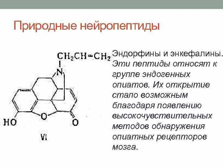 Эндорфин гормон формула. Эндорфин гормон формула химическая. Эндорфин структура. Синтез эндорфинов. Сильный выброс эндорфина