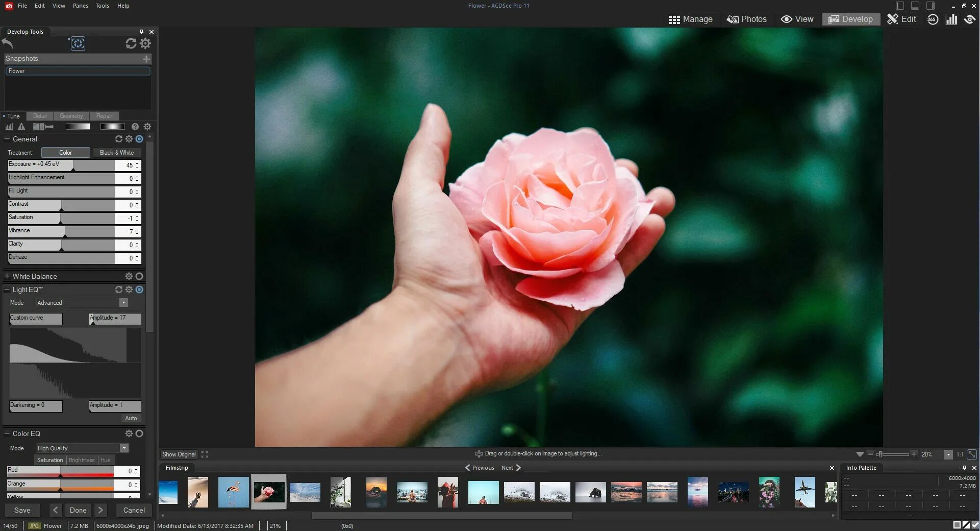 Acdsee 2025. Acdsee photo studio. acdsee photo studio ultimate 2025. acdsee photo studio ultimate 2025. acdsee photo studio professional 2018.