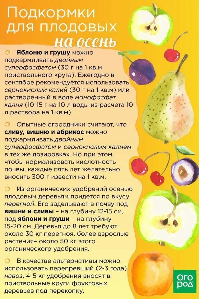 Чем подкормить фруктовые деревья. Схема подкормки плодовых деревьев. Таблица подкормки плодовых деревьев. Удобрения для грушевого дерева.
