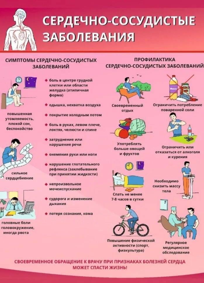 Профилактика сердечно-сосудистых заболеваний. Вторичная профилактика болезней системы кровообращения. Сердечно-сосудистые заболевания доклад. Профилактика сердечно-сосудистых заболеваний. Профилактика сердечно-сосудистых заболеваний памятка.