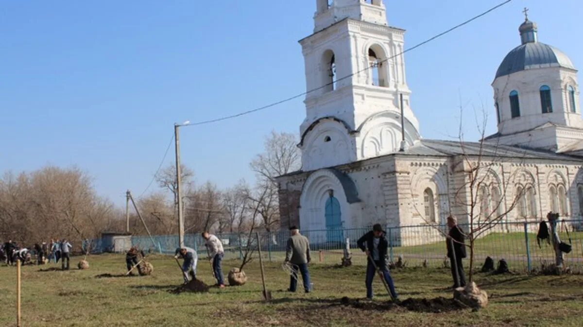 Каширское воронежская область погода на 10 дней