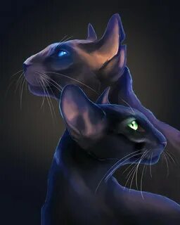 Арты кошек