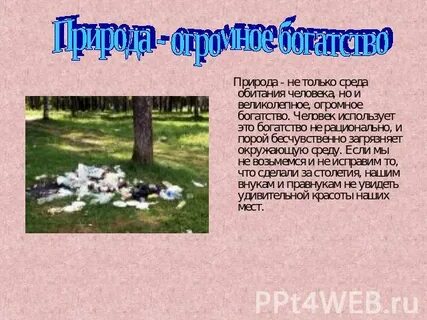 Почему леса луга воздух огромное богатство страны