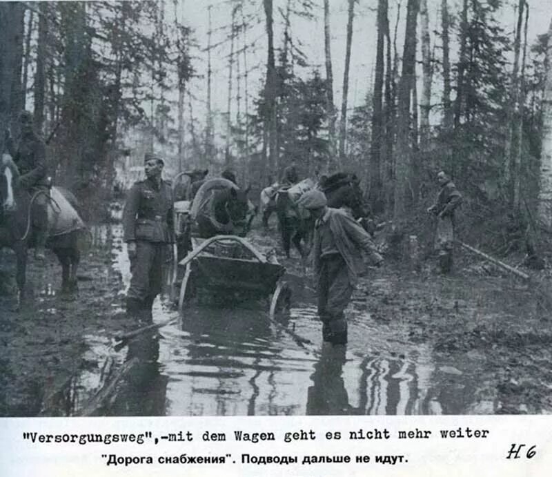 волховский котел