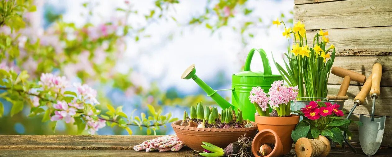 Товары для дачи и цветов. Садово-огородный инвентарь. Инвентарь для сада и огорода. Баннер сад огород. Цветы в сапоге на даче.