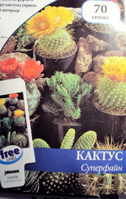 Семена ребуции. Семена кактусов. Сеянцы астрофитумов. Кактусы из семян. Польза семян опунции officina dzen.