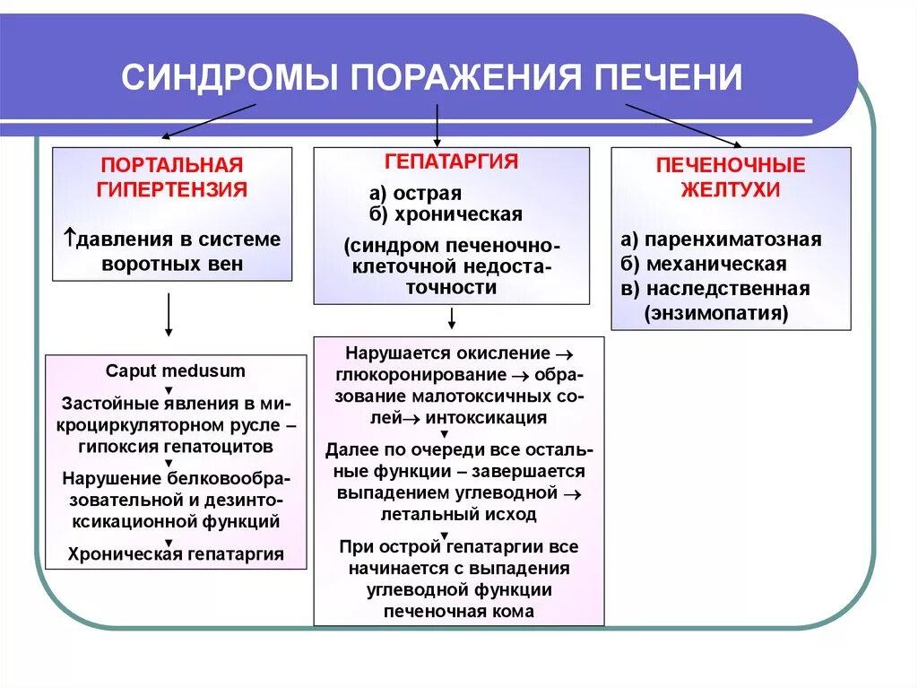 Основные печеночные синдромы. Синдромы повреждения печени. Синдромы при заболеваниях печени. Основные синдромы поражения печени. Синдром больной печени