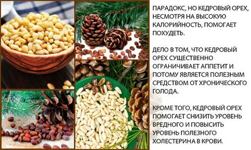 Natural nuts кедровые орешки. Кедровые орехи в скорлупе калорийность. Аю дух леса  орех кедровый очищенный. Кедровые орехи и семечки. O ядро кедрового ореха.