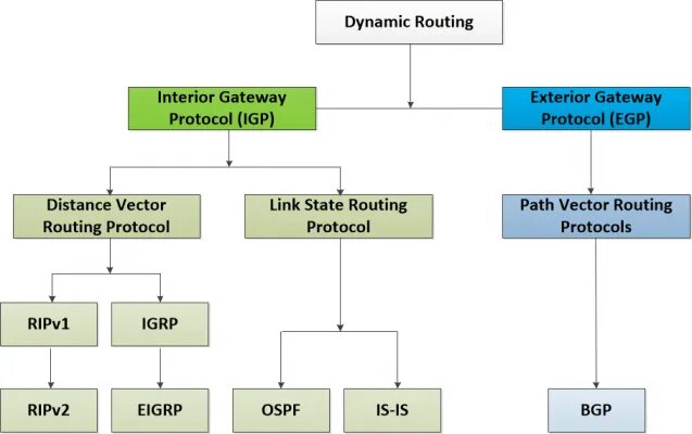 Link state. Routing Protocols. Link-State routing Protocols. Dynamic routing Protocols. Dynamic source routing Protocol.