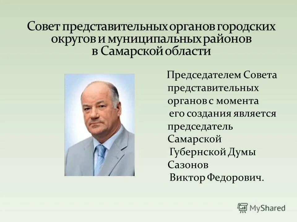 Статус депутата представительного органа самоуправления