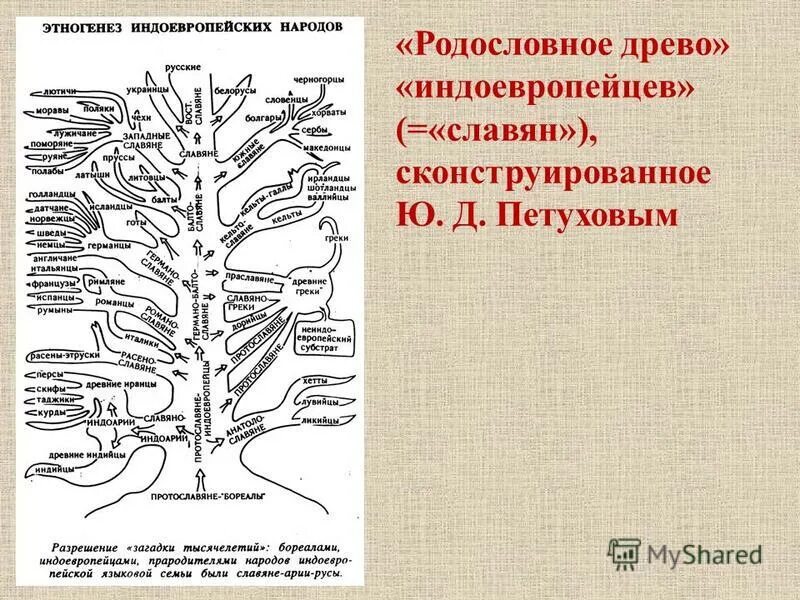 Как располагаются группы животных на родословном древе. Индоевропейцы Древо. Генеалогия индоевропейских языков схема. Родословная славян. Генеалогия мирового древа.