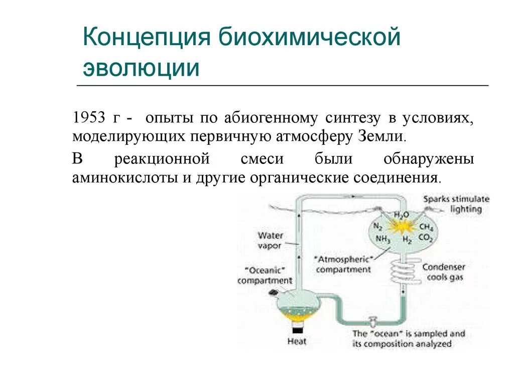 Гипотеза биохимической эволюции суть. Этапы биохимической гипотезы Опарина. Опыты Опарина в биохимической эволюции. Доказательства биохимической эволюции Опарина. Концепция биохимической эволюции. Теория а.и. Опарина.