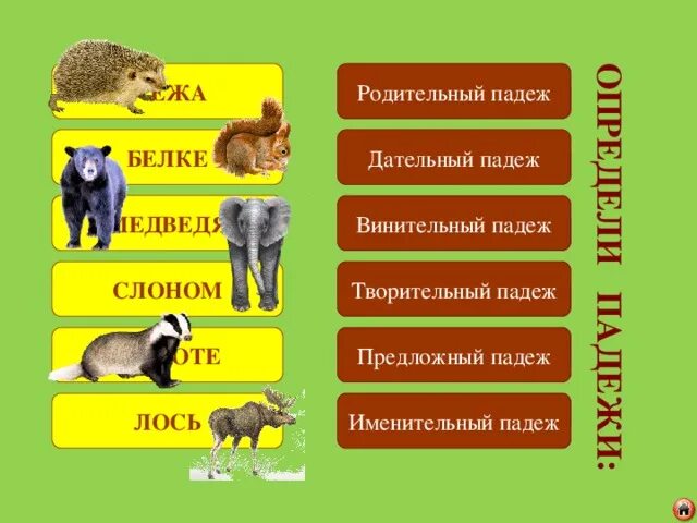 Склонение по падежам друг. Вопросы родительного падежа в русском. Просклонять слово друг. Падежи и склонения таблица 3 класс. Слово белку какой падеж.