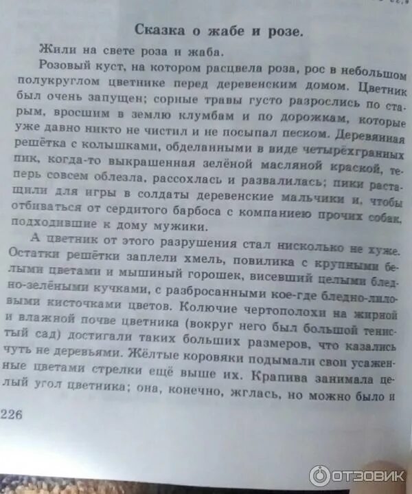 Рецензия на сказку. В М Гаршин сказка о жабе и Розе. Рассказ Гаршина сказка о жабе и Розе. Сказка о жабе и Розе читать.