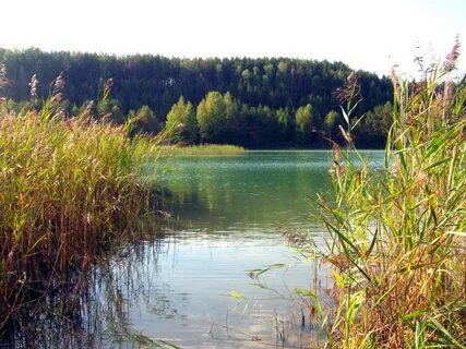 Гидроторф нижегородская область
