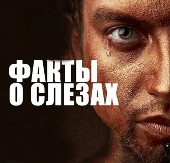 Шокирующие факты