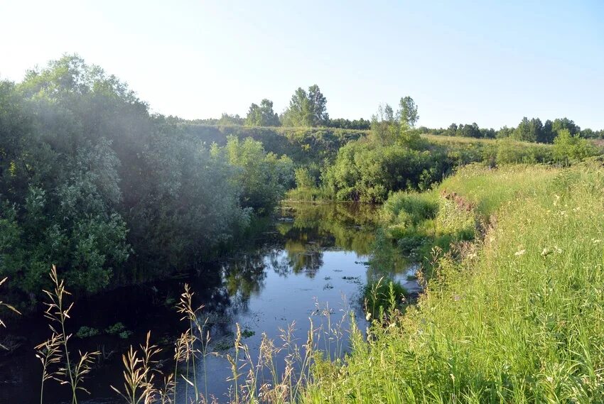 Погода в макурино юргинский. Таскаево Кемеровская область. Река Лебяжья Кемеровская область. Юргинский район Кемеровская область. Село Таскаево Юргинский район.