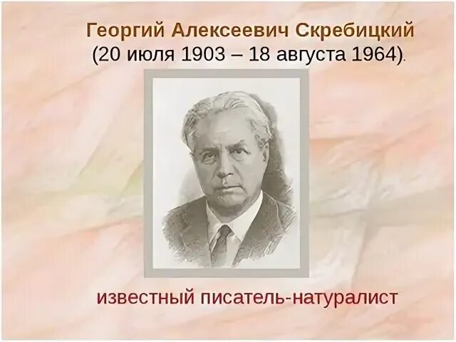 Писатель г скребицкий. Портрет Скребицкого Георгия Алексеевича. Г Скребицкий портрет писателя.