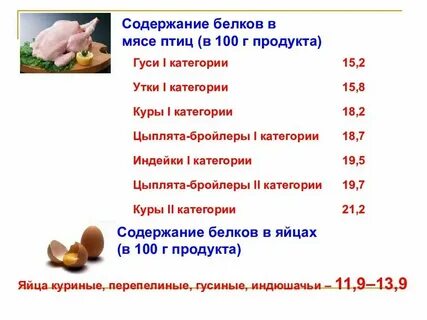 Что содержится в курином белке