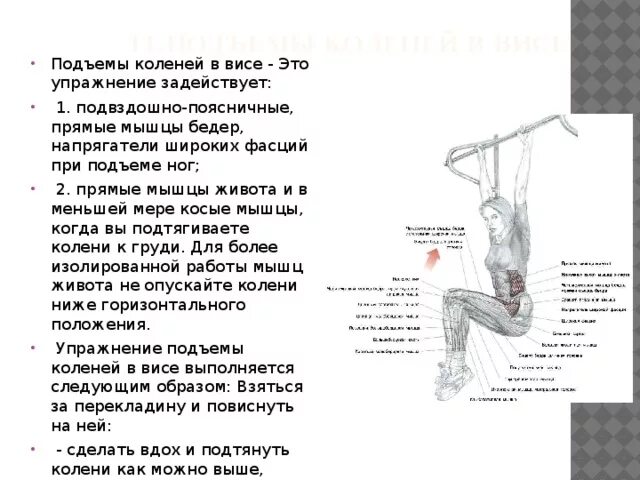 Подъем примеры. Поднятие колен в висе техника. схема тренировки в подъём ног. подъем коленей в висе на турнике. подъем согнутых ног в висе на перекладине.