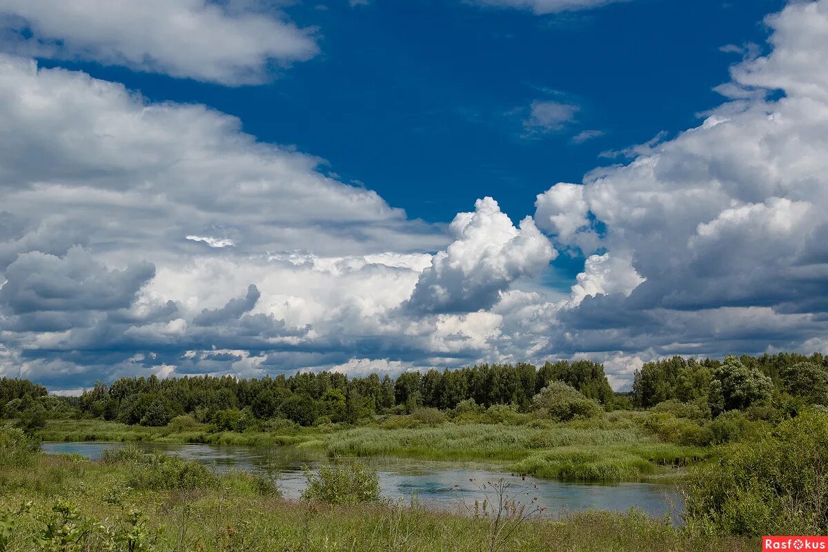 благодать тульская область храм. кп благодать звенигород. кп благодать киевское шоссе. село благодать тульской области. выставка картин можарского.
