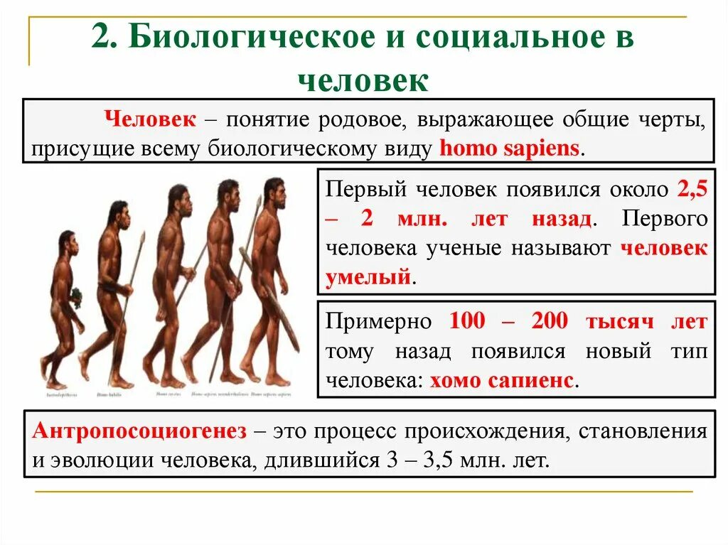 Родовым понятием является. Человек биологический вид. Родовое понятие. Биологическое и социальное в человеке понятие. Человек понятие родовое выражающее Общие черты.