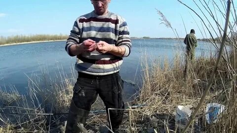 Погода в арпачине