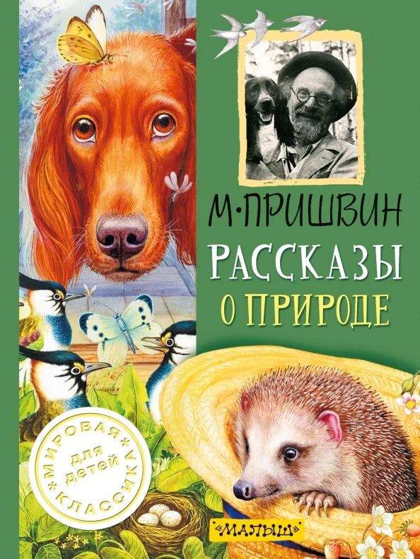 Сказки пришвина для детей 1 класса. Сказки пришвина 3 класс. Рассказ автора пришвина. Сказки пришвина для детей 1 класса. Пришвин для детей 2 класса.