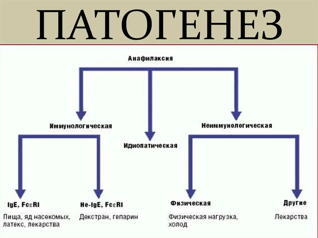 Анафилактический ШОК схема. Патогенез анафилактического шока. Анафилаксия патогенез. Анафилаксия этиология. Анафилактический шок патогенез