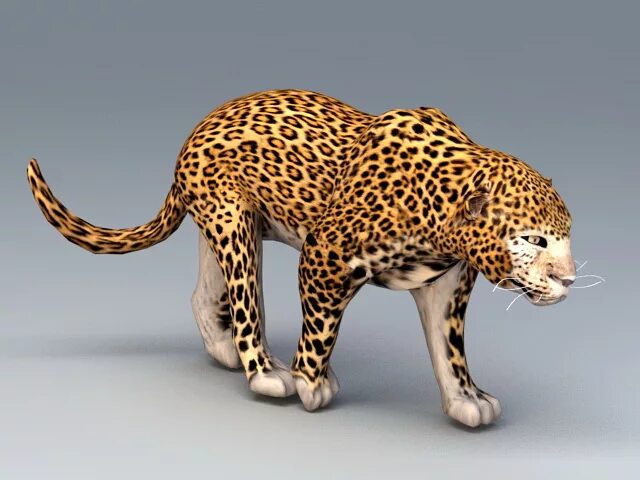 Леопард макс. Vxf 3d model леопард. африканский леопард. ягуар 3д модель. леопард 3.