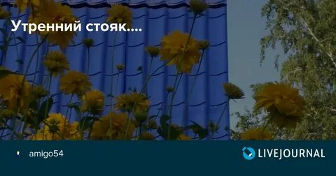 Почему утром стояк