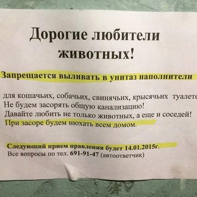 Как правильно писать подъезд. Смешные объявления в подъездах. объявления в подъезде. объявление для жильцов. объявление для соседей.