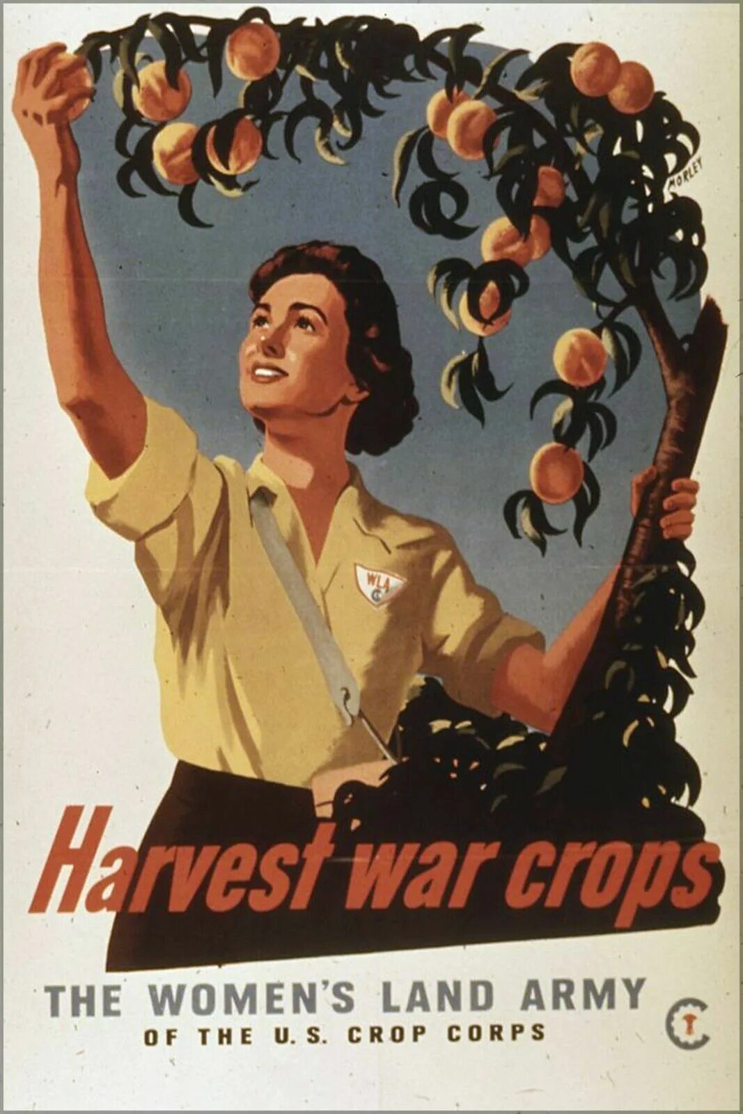 Урожай плакат. Советские плакаты урожай. Американские постеры 1945. Плакат женщины войны