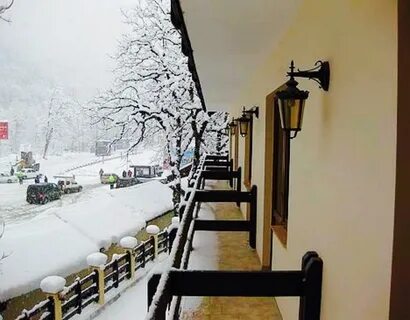 Гала плаза красная поляна
