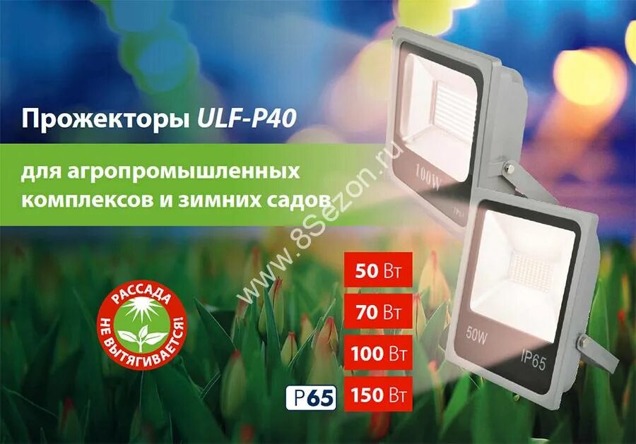 Прожектор для растений. Светодиодный прожектор Uniel 100w. Прожектор светодиодный 100вт Uniel. Прожекторов освещения "Uniel-ULV-r22h, 100w, ip65". Фито прожектор для растений 50 ватт.