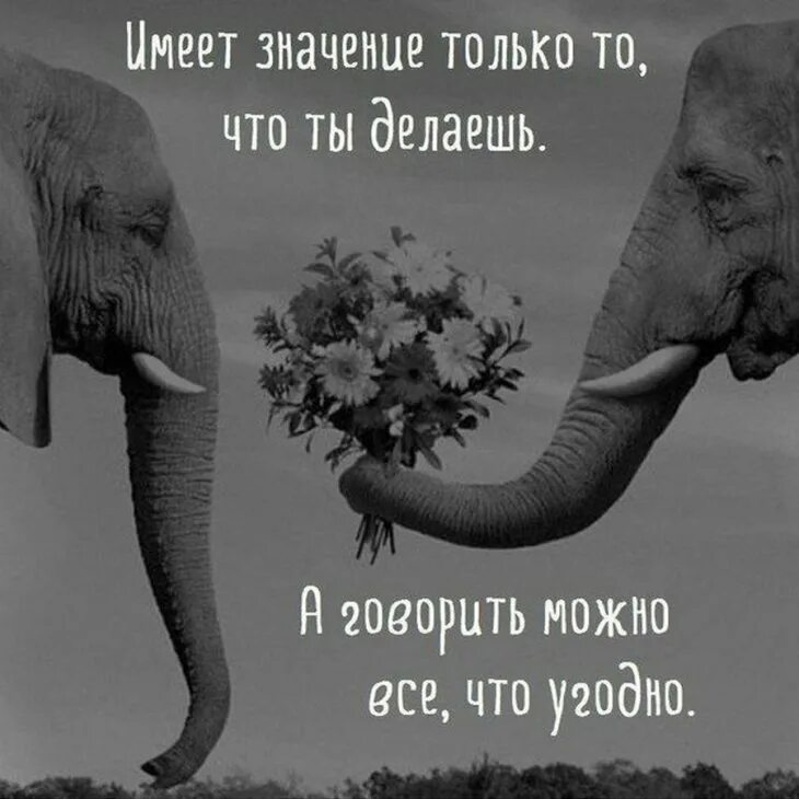 Цитата которая заставляет задуматься. Фразы на аватарку со смыслом. Женщина в отчаянии. О чем угодно о жизни. Глаза в глаза цитаты.