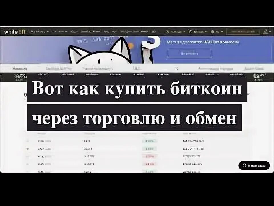 Whitebit криптобиржа. Вайтбит криптовалютная биржа. whitebit balance. биржа bit com.