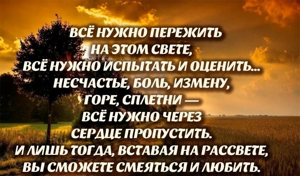 Испытать жизнь предложения. Все нужно пережить на этом свете. Всё нужно пережить на этом свете стих. Все надо пережить. Все нужно пережмть на Этос свете.