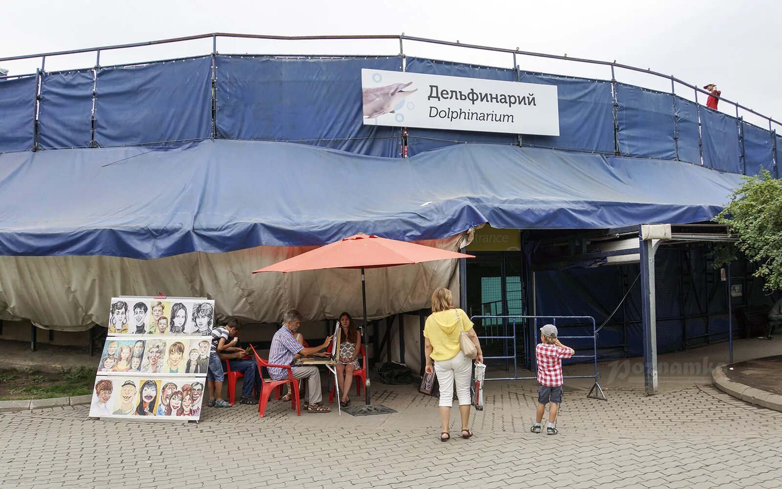 Московский зоопарк дельфинарий. Московский зоопарк дельфинарий. Дельфинарий в зоопарке в москве. Московский зоопарк дельфинарий. Дельфинарий в московском зоопарке.
