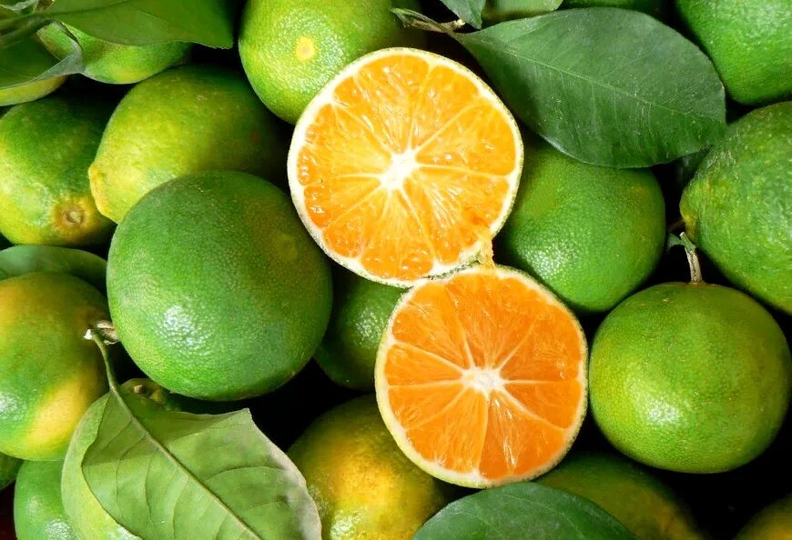 Green tangerine. Танжерин зеленый. Танжерин Тайланд. Померанец зеленый фрукт. Танжерин Цитрон лайм.