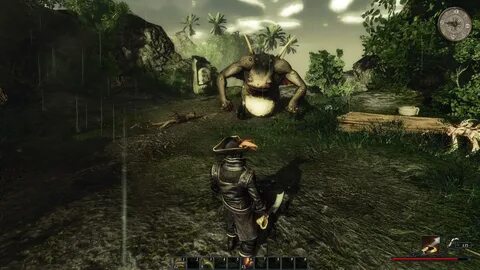 Risen подсказки