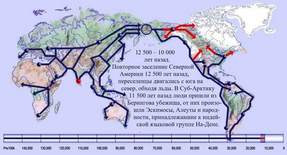 Как шло заселение территории