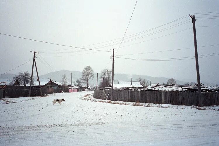 Погода п березовый